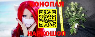 прущие крисы Донецк