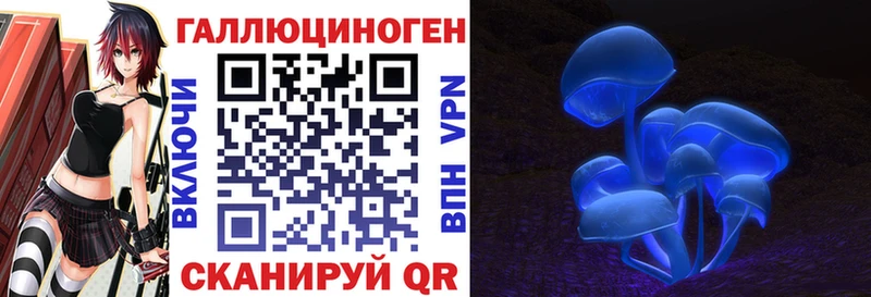 Галлюциногенные грибы GOLDEN TEACHER  Вологда 