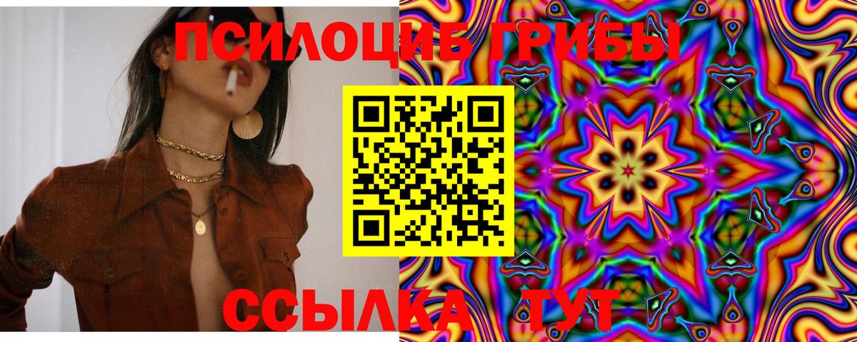 Галлюциногенные грибы мицелий Вологда