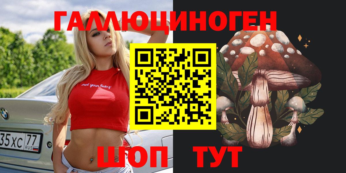 Галлюциногенные грибы Psilocybine cubensis  Вологда 