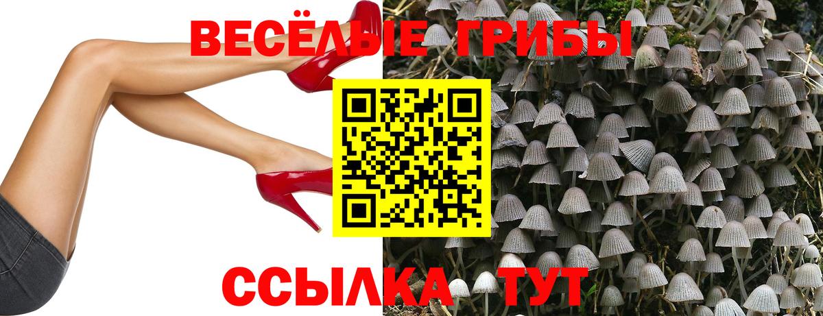 Галлюциногенные грибы прущие грибы  Псилоцибиновые грибы GOLDEN TEACHER  Вологда  Вход с VPN 