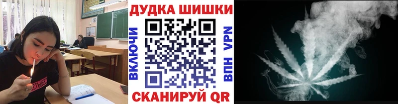 наркота  Вологда  Марихуана сатива 